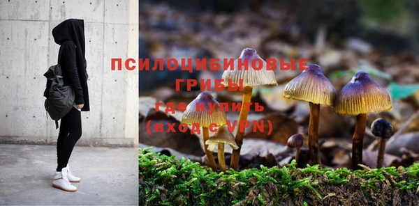 jwh Липки